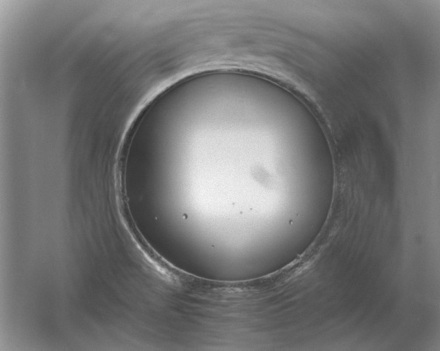 X0000061721517200512161541