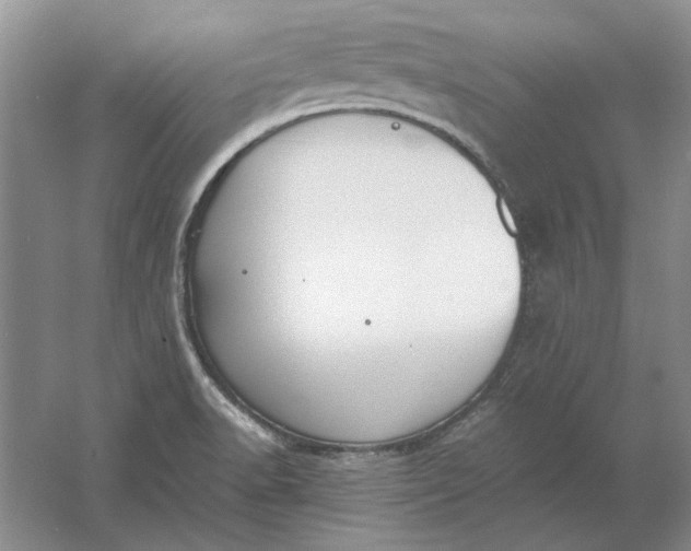 X0000061721518200512161541