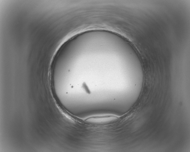 X0000061721519200512161541