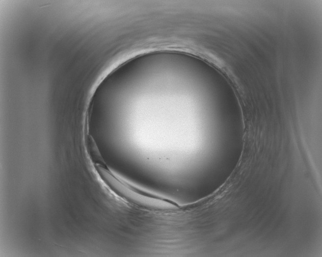 X0000061721520200512161541