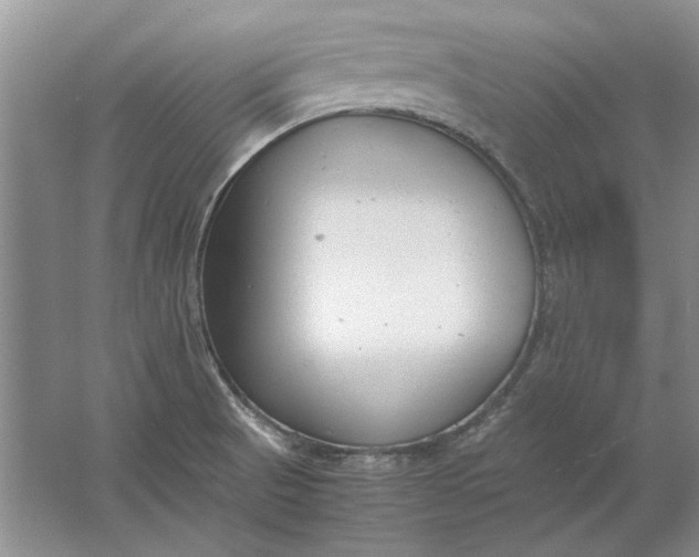 X0000061721521200512161541