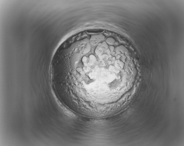 X0000061721522200512161541