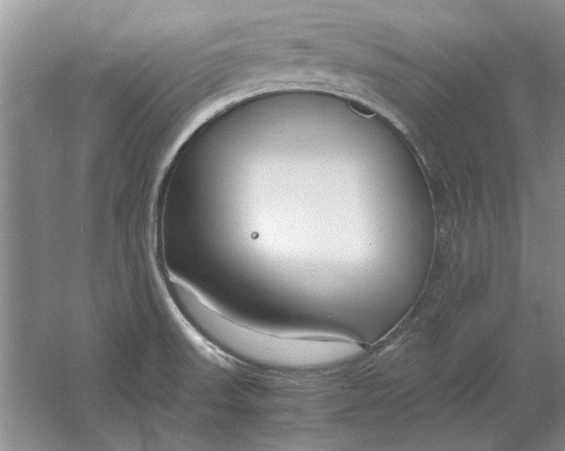 X0000061721523200512161541