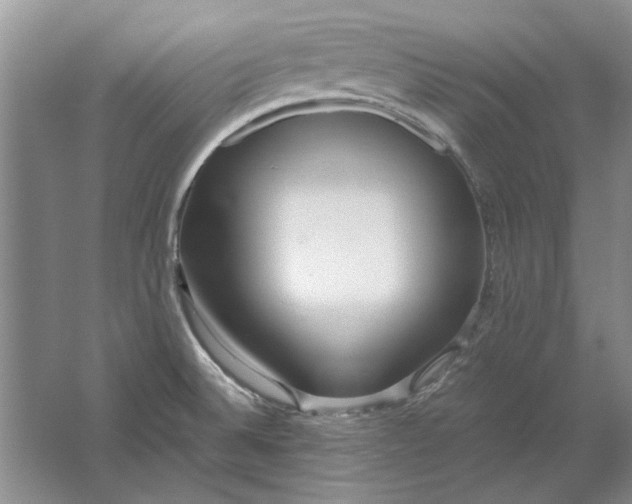 X0000061721524200512161542