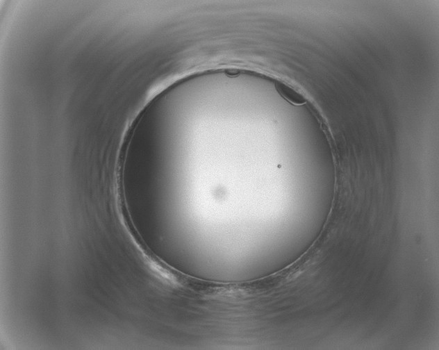 X0000061721525200512161542