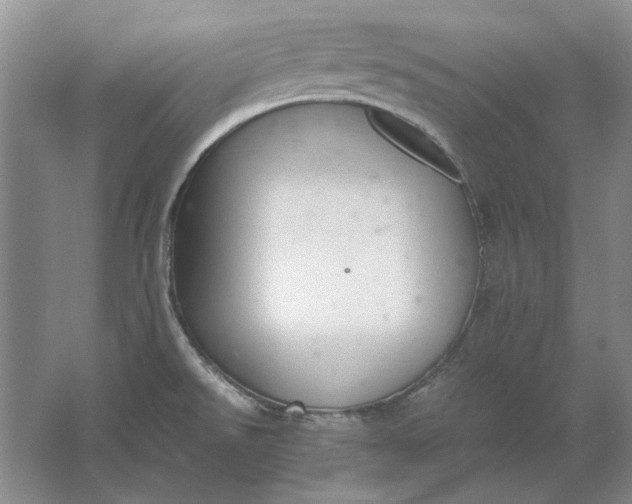 X0000061721526200512161542