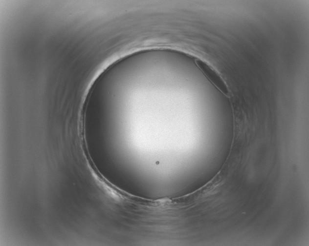 X0000061721527200512161542