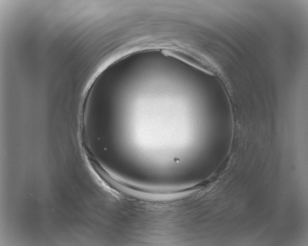 X0000061721528200512161542