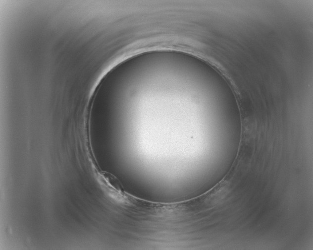 X0000061721530200512161542