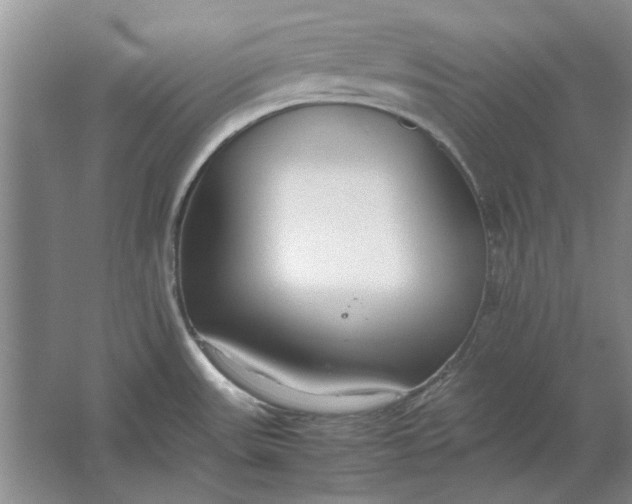 X0000061721531200512161542