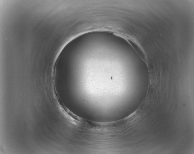 X0000061721532200512161542