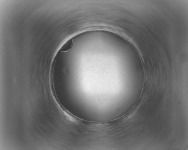 X0000061721533200512161542