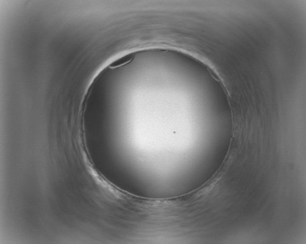 X0000061721534200512161542