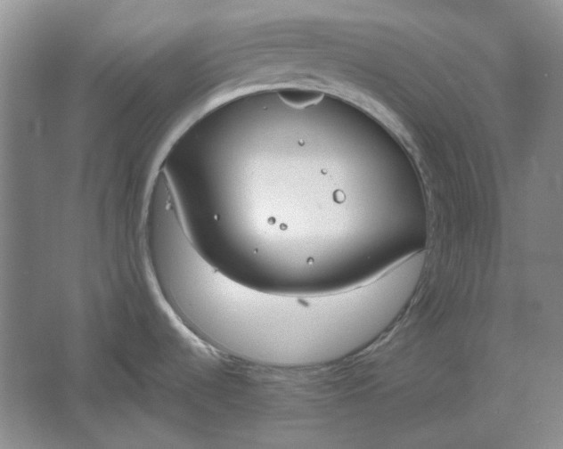 X0000061721536200512161542