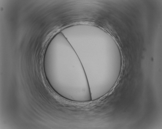 X0000061720001200512231420