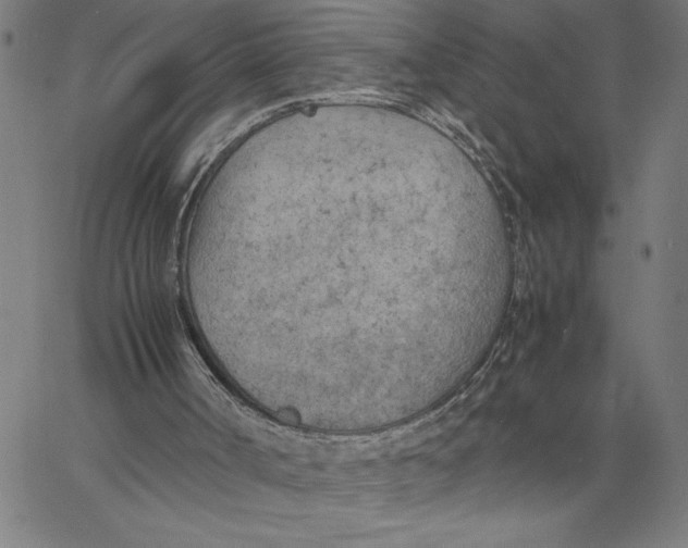 X0000061720002200512231420