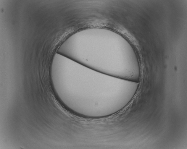 X0000061720009200512231420