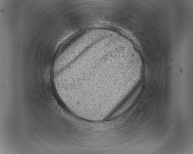 X0000061720010200512231420