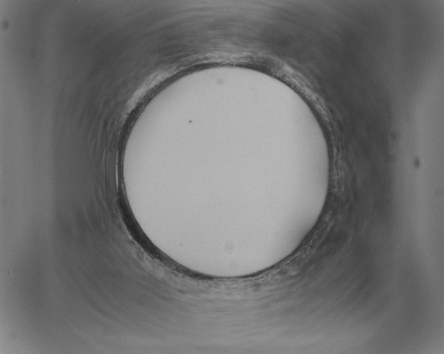 X0000061720011200512231420