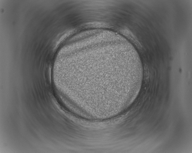 X0000061720014200512231420