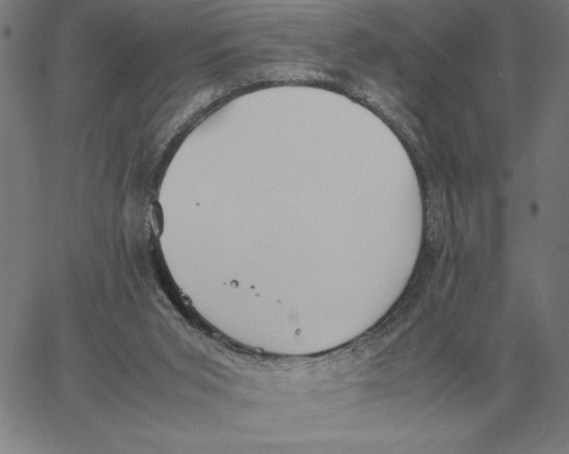 X0000061720015200512231420