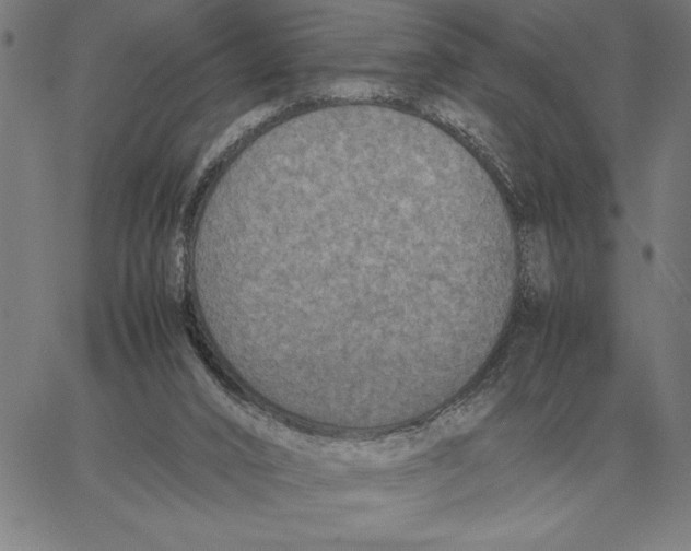 X0000061720016200512231420