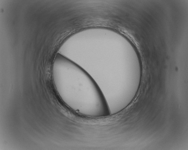 X0000061720017200512231420