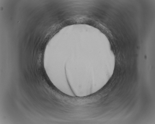 X0000061720018200512231420