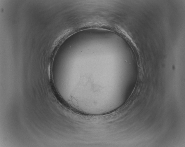 X0000061720019200512231420