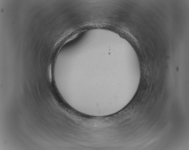 X0000061720020200512231420