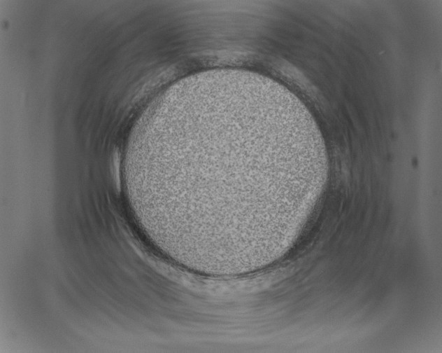 X0000061720022200512231420