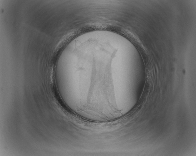 X0000061720023200512231420