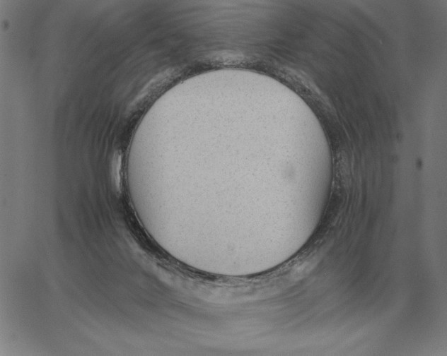 X0000061720024200512231420