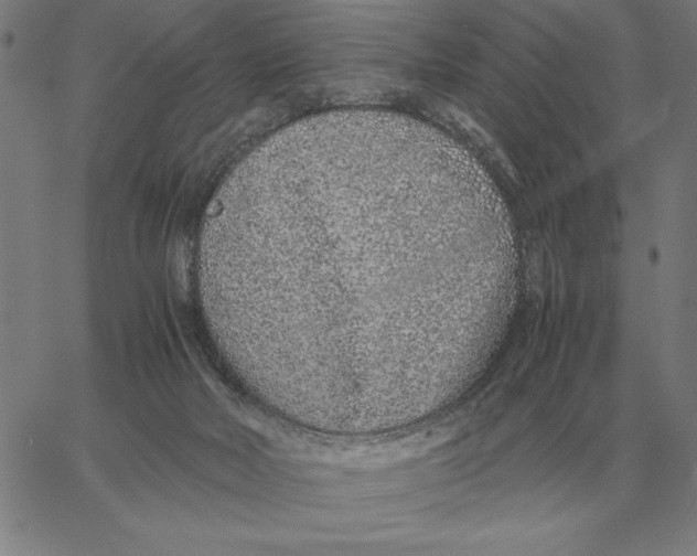 X0000061720026200512231420