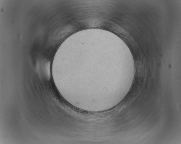 X0000061720028200512231420