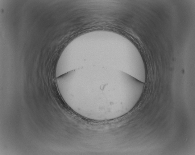 X0000061720029200512231420