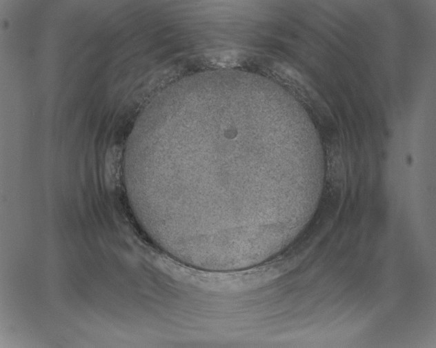 X0000061720030200512231420