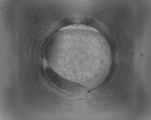 X0000061720031200512231420