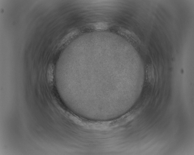 X0000061720032200512231420