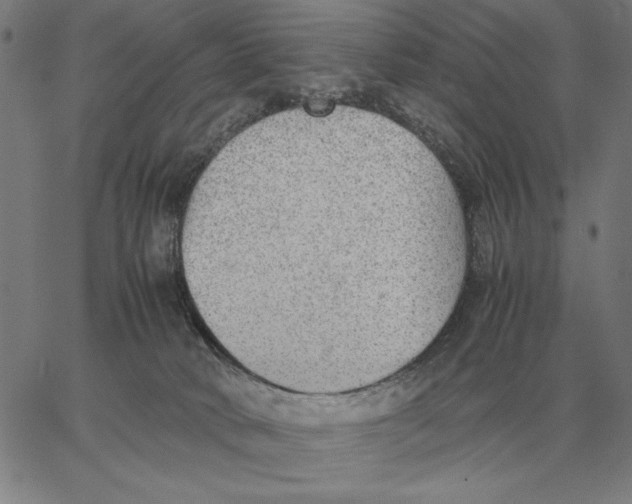 X0000061720034200512231420