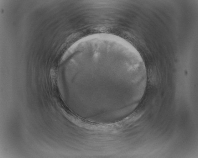 X0000061720036200512231420