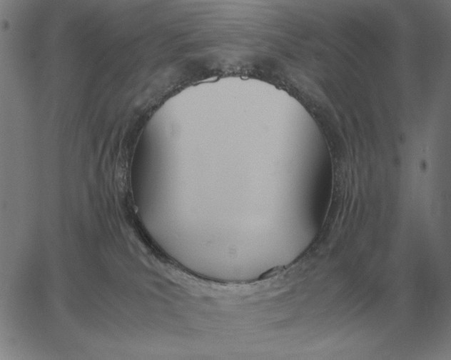 X0000061720039200512231420