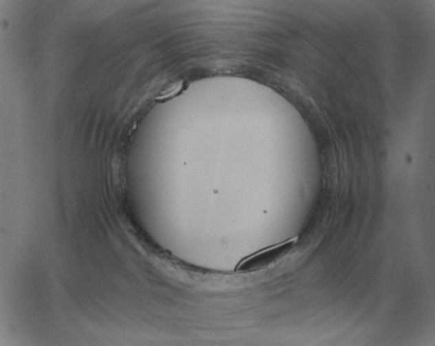 X0000061720044200512231420