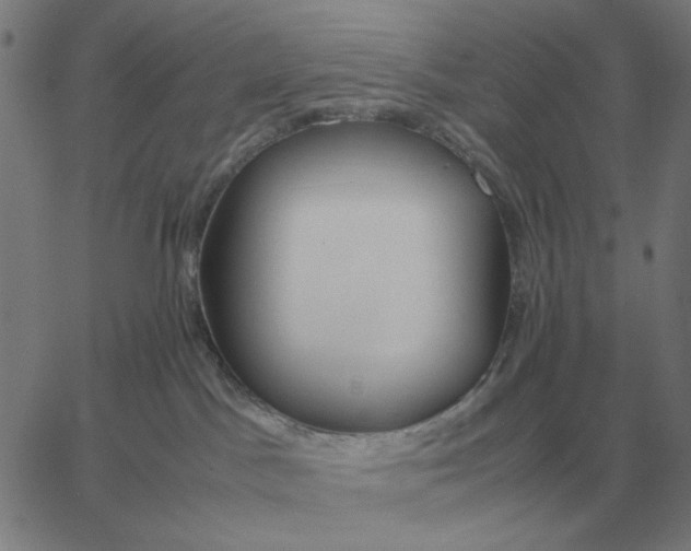 X0000061720045200512231420