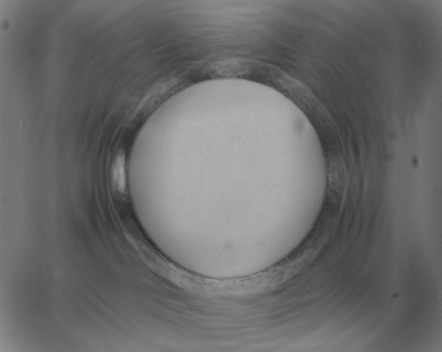 X0000061720046200512231420