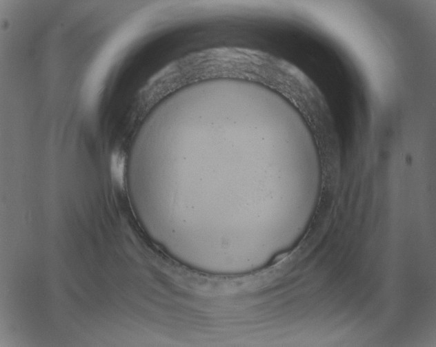 X0000061720047200512231420