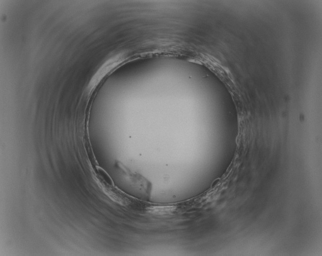 X0000061720051200512231419