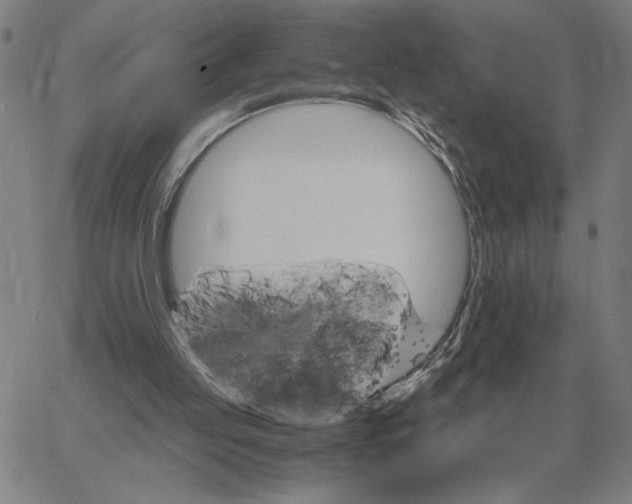 X0000061720053200512231419