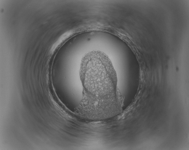 X0000061720054200512231419