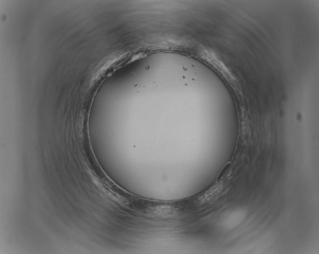 X0000061720058200512231419